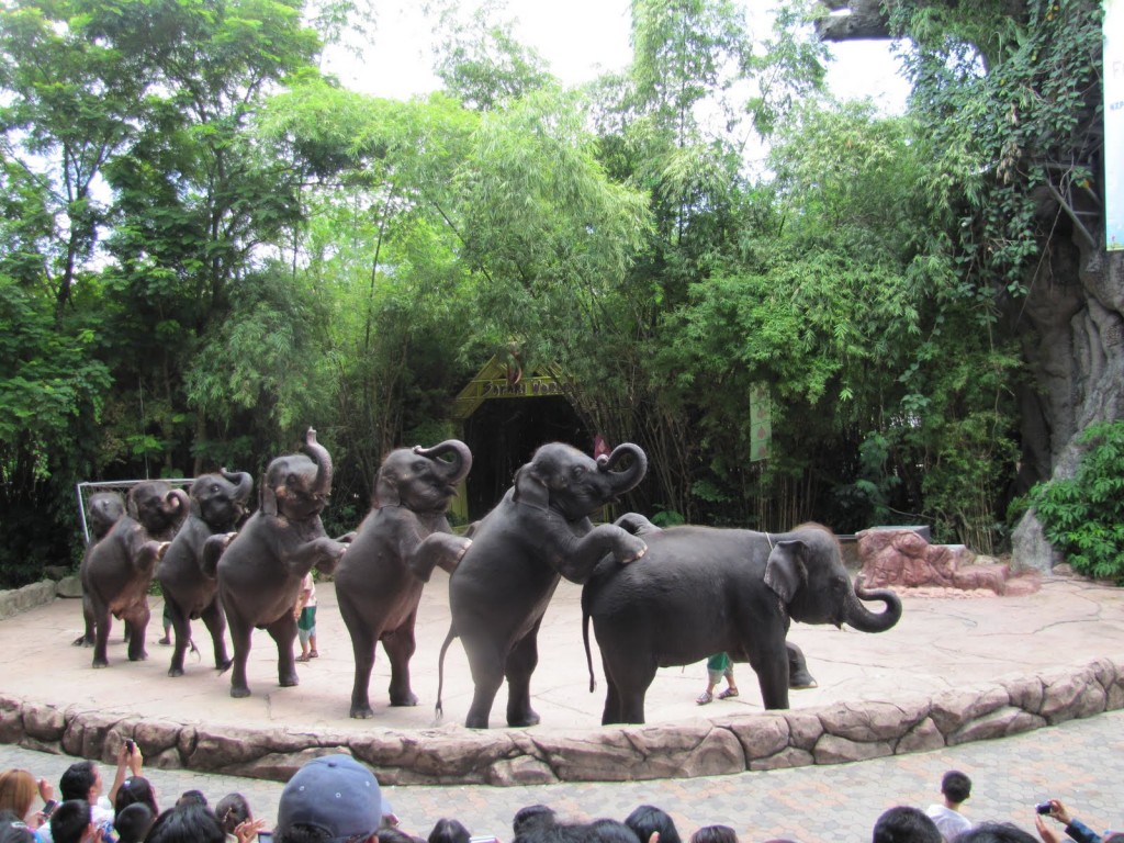 kham-pha-cong-vien-safari-world-thai-lan